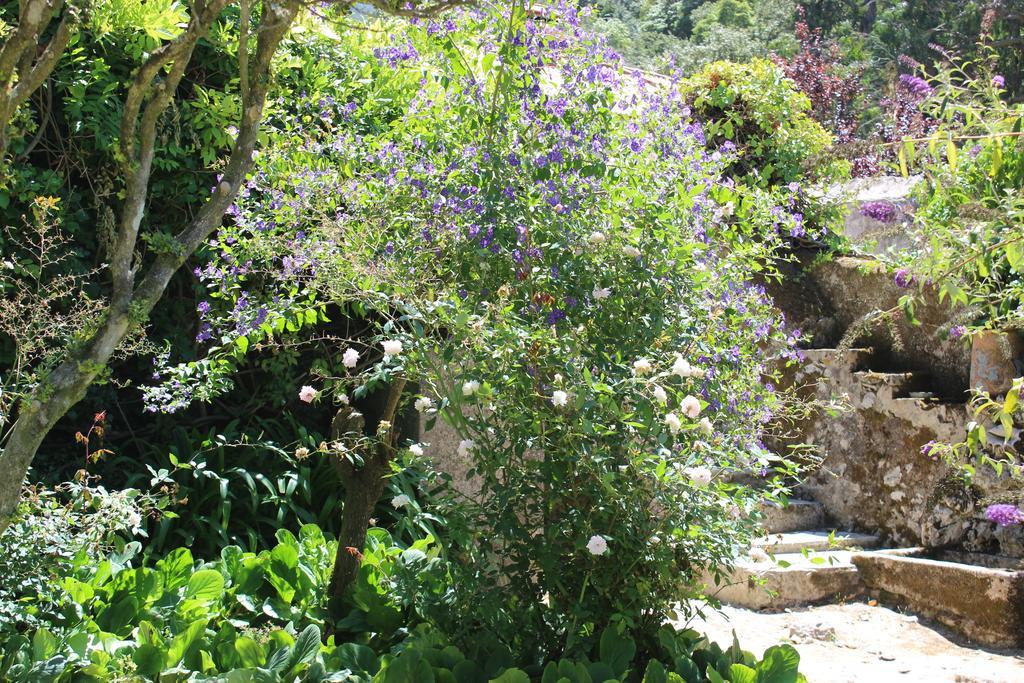 Quinta De Sao Tadeu Hotel Sintra Exterior photo