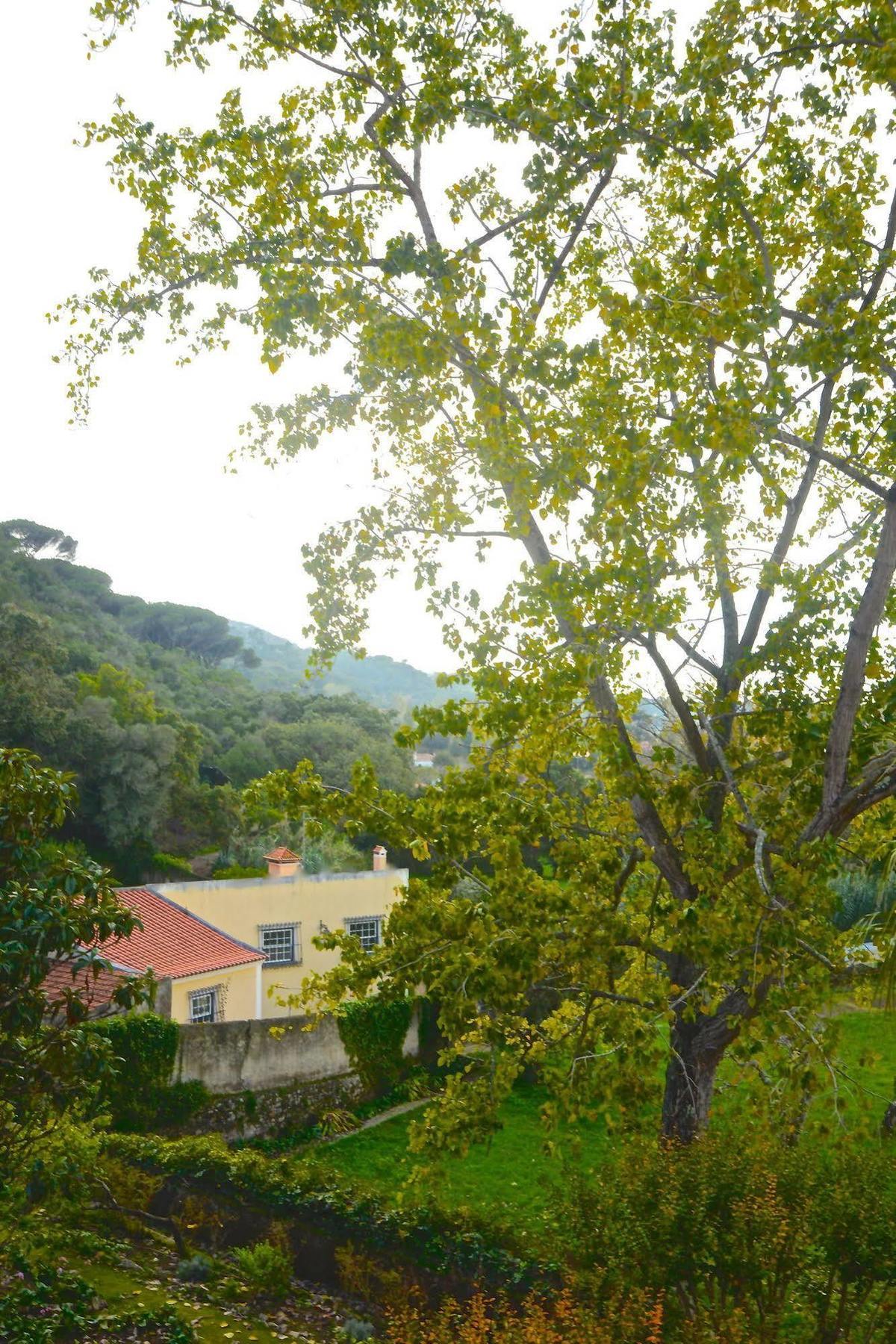 Quinta De Sao Tadeu Hotel Sintra Exterior photo